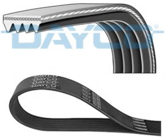 Ремень ручейковый 4PK875 DAYCO